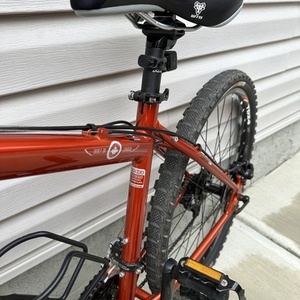 2009 Rocky Mountain Bicycles Soil Orange