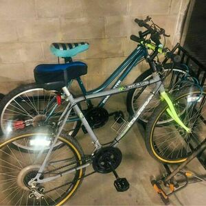 Murray Montaro Silver, gray or bare metal and Green