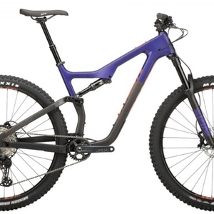 2020 Salsa Horsethief SLX