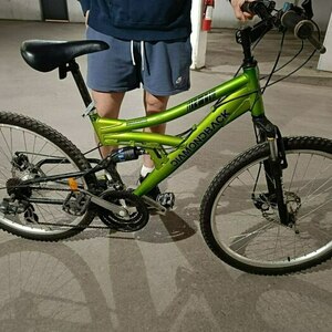 Diamondback Dual suspension, adult bike, i have pics Green