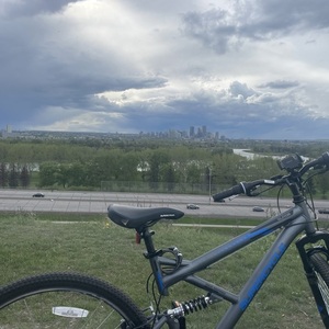 Supercycle Surge Silver, gray or bare metal