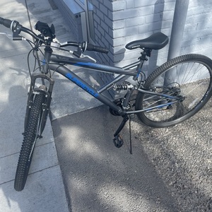 Supercycle Surge Silver, gray or bare metal