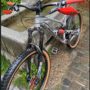 2019 Nukeproof Mega Silver, gray or bare metal