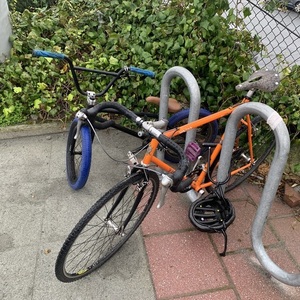 Voodoo Unknown Orange