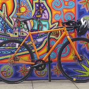 2013 Raleigh Furley Orange
