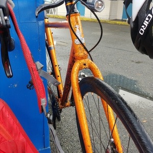 2013 Raleigh Furley Orange