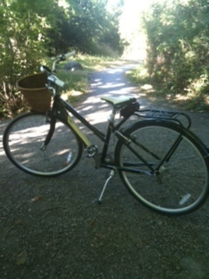 Bike photo