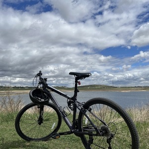 Diamondback Odyssey 27.5 Purple