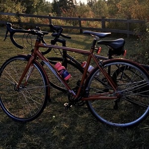 2017 Brodie Pace 2.0 Orange Medium Orange