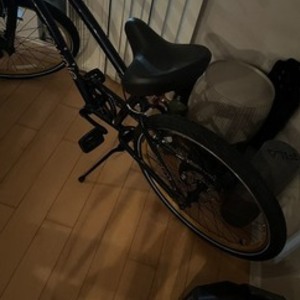 Electra Cruiser Blue