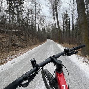 2020 Trek Marlin 7 Red