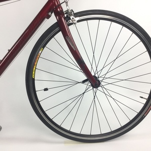 2009 Specialized Dolce Elite Red