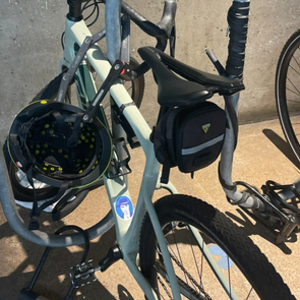 2021 Giant Revolt Advanced 2M Desert Sage Green