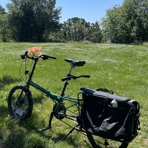 2016 Bike Friday Haul-A-Day Green