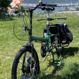 2016 Bike Friday Haul-A-Day Green