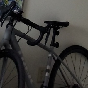 Trek Checkpoint AL 4 Silver, gray or bare metal and Black