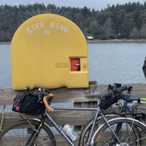 Soma Double Cross Disc Purple