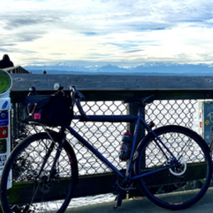 Soma Double Cross Disc Purple