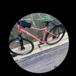 2024 Giant Rove 4 Pink