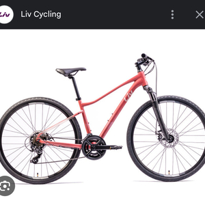 2024 Giant Rove 4 Pink