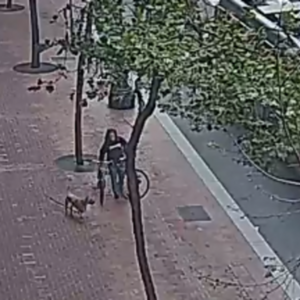 1996 Voodoo Columbus (collaboration) Orange