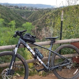 Trek Marlin Silver, gray or bare metal