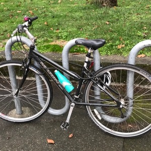 Marin Bikes Black