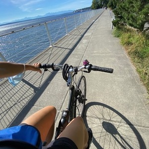 Marin Bikes Black