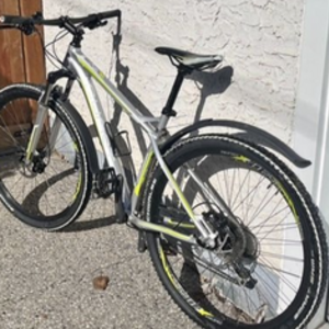 2024 Ghost 19" Special edition Silver, gray or bare metal