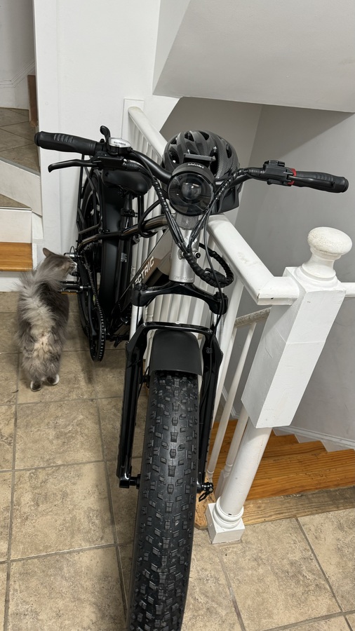 2024 Lectric eBikes XPEAK HIGHSTEP