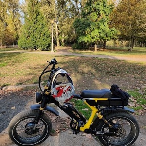2022 Ariel Rider Grizzly 52v Yellow or Gold