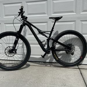 2019 Specialized Stumpjumper Silver, gray or bare metal