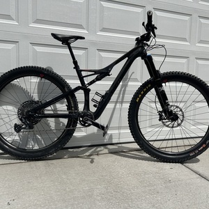 2019 Specialized Stumpjumper Silver, gray or bare metal