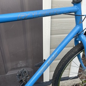 Raleigh Blue