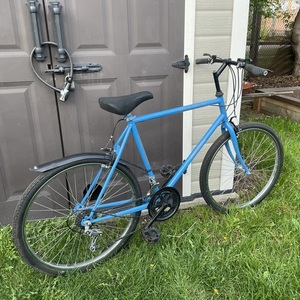 Raleigh Blue