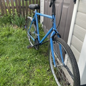 Raleigh Blue