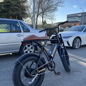 2024 СycRown CycRon Black