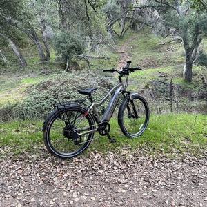 2024 Aventón Level.2 Commuter Ebike Silver, gray or bare metal
