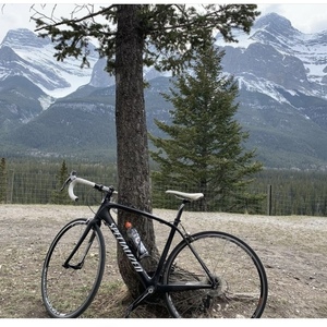 2014 Specialized Alias Comp Tri Black