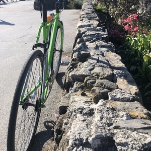 2014 Trek Earl Green