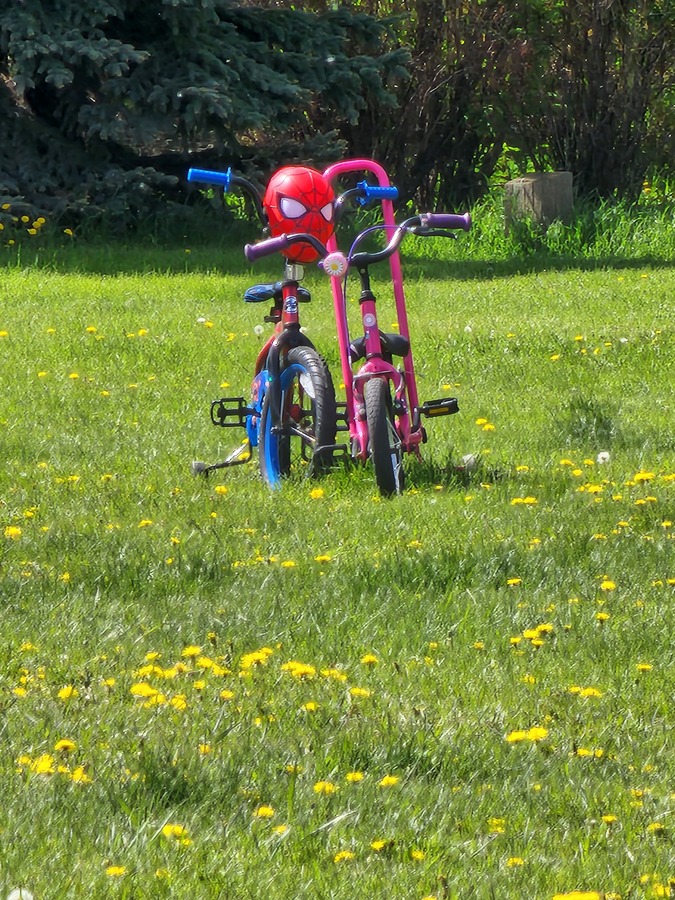 Huffy Marvel Spiderman Laufrad Blau und Rot für Jungen und Mädchen im Alter von 2–4 Jahren – Perfekt zum Erlernen von Gleichgewicht und Koordination als großartiges erstes Fahrrad