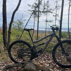 2022 Ibis Ripley AF Silver, gray or bare metal