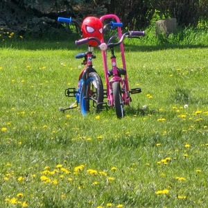 Supercycle Kickstart Pink and Purple