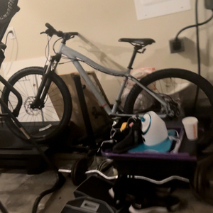 2022 REI Co-op Drt1.1 Silver, gray or bare metal