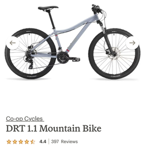 2022 REI Co-op Drt1.1 Silver, gray or bare metal
