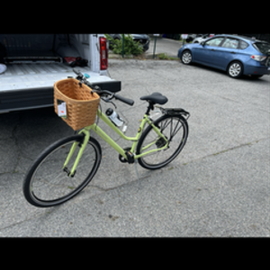 2022 Specialized Crossroads 2.0 Step Through Yellow or Gold