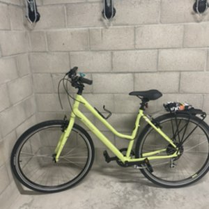 2022 Specialized Crossroads 2.0 Step Through Yellow or Gold