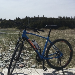 2019 Giant Roam Disc 2 Blue and Orange