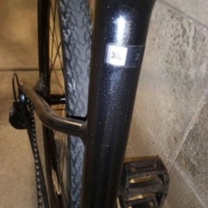 2023 Giant Black and Orange