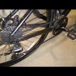 2023 Giant Black and Orange